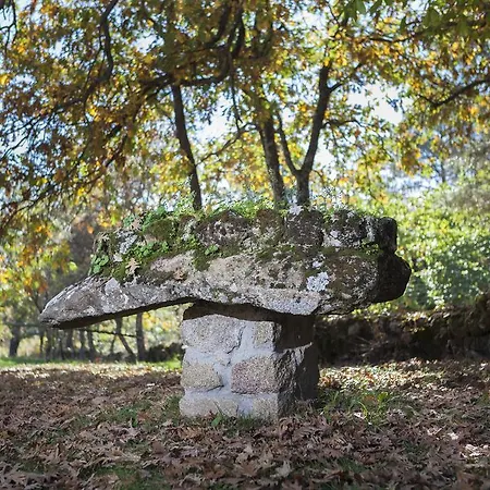 Casa rural La Buenaventura Del Tiétar *