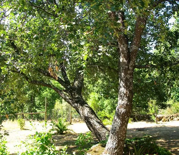 컨트리하우스 La Buenaventura Del Tietar