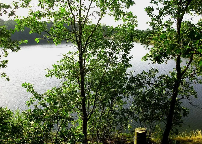 La Buenaventura Del Tietar 컨트리하우스 *